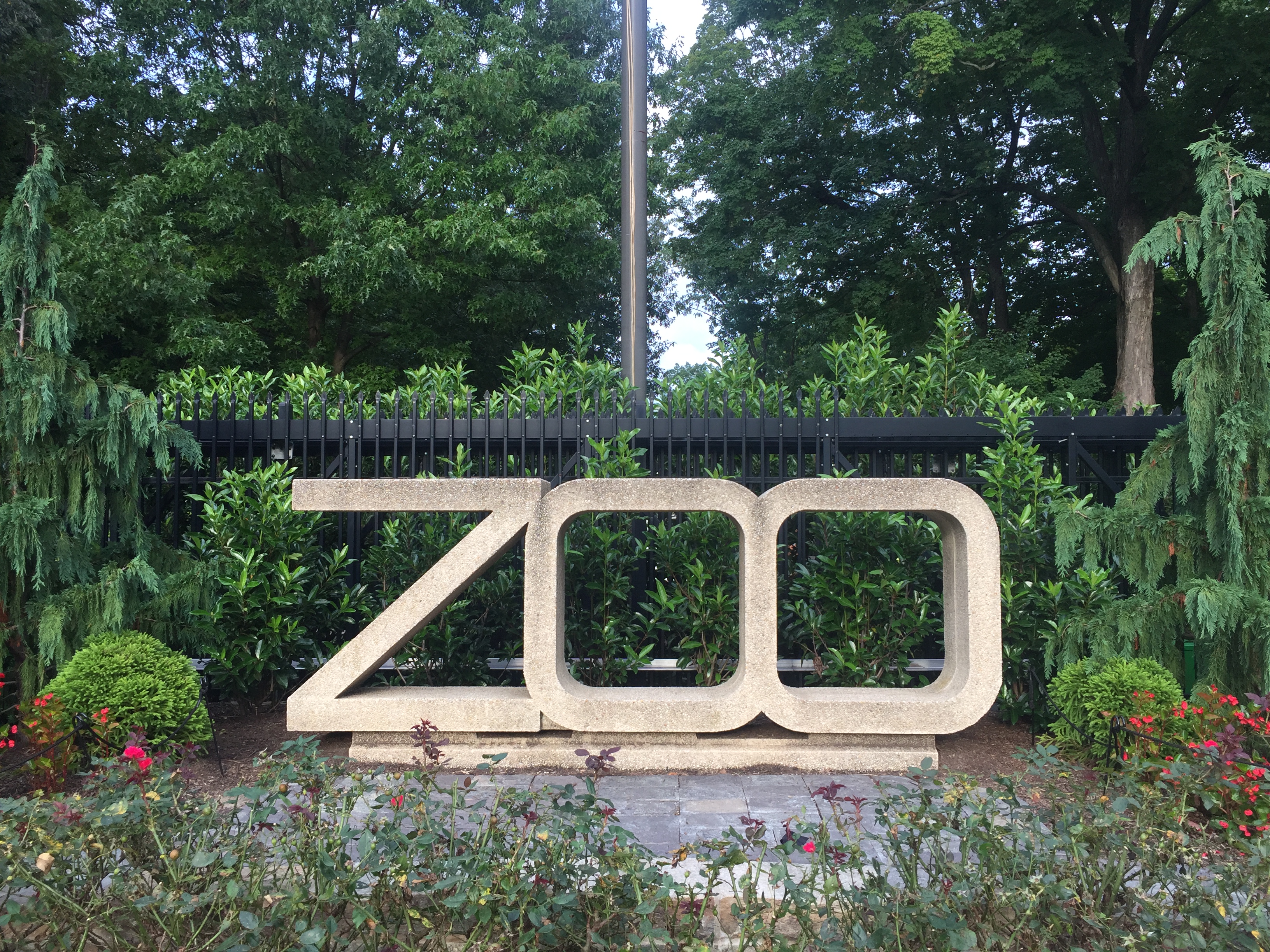 Local Adventure: National Zoo – Wanderful Wondering